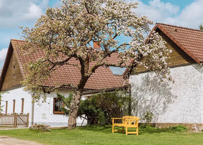 Ferienhaus Idyllisches Mit Teich