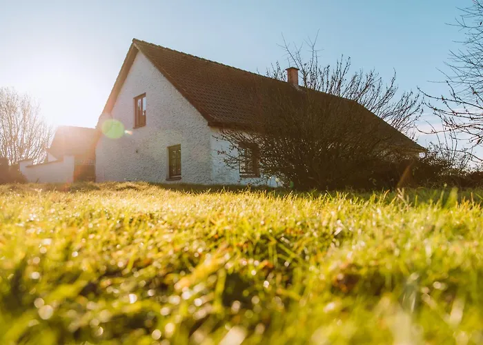Idyllisches Mit Teich